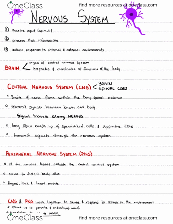BIOL 200 Lecture Notes - Lecture 1: Botulinum Toxin, Glutamine, Limbic System thumbnail