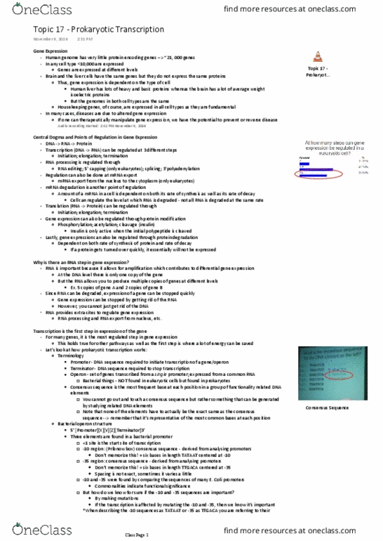 Biochemistry 2280A Lecture Notes - Lecture 17: Consensus Sequence, Pribnow Box, Rna Editing thumbnail