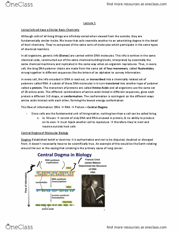 Biochemistry 2280A Lecture Notes - Lecture 1: Peptide, Transfer Rna, Phenylalanine thumbnail