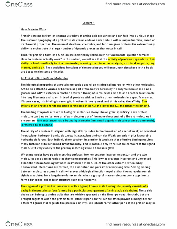 Biochemistry 2280A Lecture Notes - Lecture 4: Hydrophobic Effect, Hexokinase, Macromolecule thumbnail