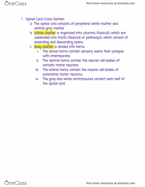 RIU 332 Lecture Notes - Lecture 67: Grey Matter, White Matter, Anterior Ramus Of Spinal Nerve thumbnail