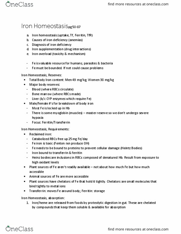 BIOL 3051 Lecture Notes - Lecture 23: Iron Overload, Heinz Body, Ferritin thumbnail