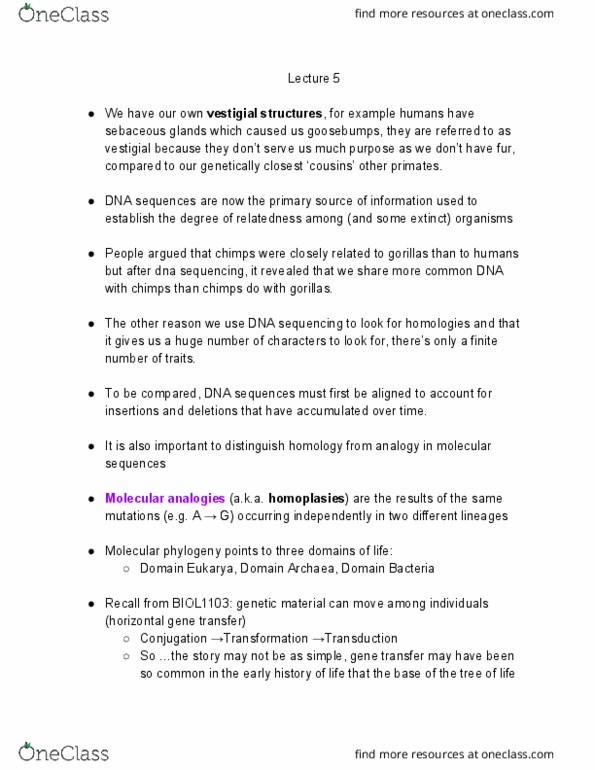 BIOL 1104 Lecture Notes - Lecture 5: Molecular Phylogenetics, Convergent Evolution, Sebaceous Gland thumbnail