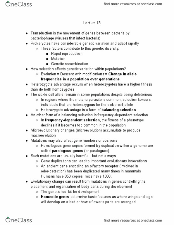 BIOL 1104 Lecture Notes - Lecture 13: Heterozygote Advantage, Gene Duplication, Balancing Selection thumbnail