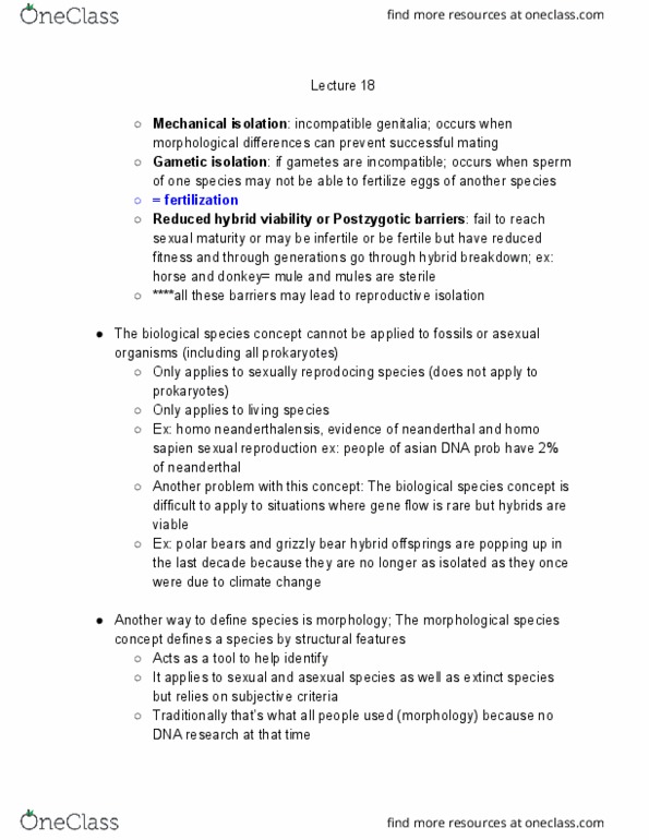 BIOL 1104 Lecture Notes - Lecture 18: Neanderthal, Reproductive Isolation, Ecological Niche thumbnail