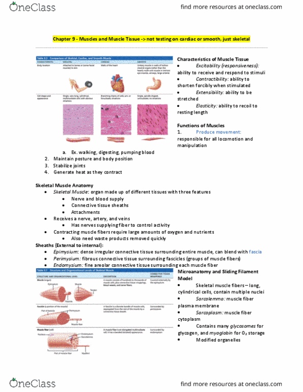 BLG 10A/B Lecture 9: chapter 9 thumbnail