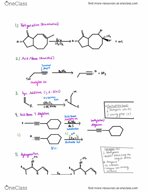 Chm 315 Lecture Notes - Spring , Lecture 3 - Sodium Amide, Alkylation 