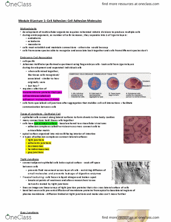 BIOLOGY 2B03 Lecture Notes - Lecture 8: Microvillus, Cytokine, Hematocrit thumbnail