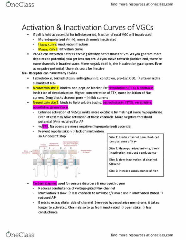 BIOL 3051 Chapter Notes - Chapter 6.3: Veratridine, Conotoxin, Tetrodotoxin thumbnail