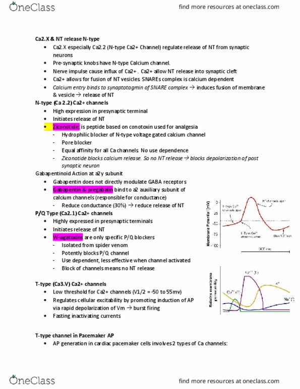 BIOL 3051 Chapter Notes - Chapter 8.0: Hcn Channel, Ziconotide, Calcium Channel thumbnail