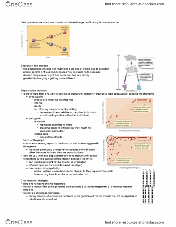 LIFESCI 7B Lecture Notes - Lecture 12: Meiosis, Genetic Drift, Reproductive Isolation thumbnail