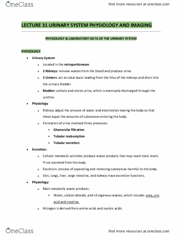 BIOL 171 Lecture Notes - Lecture 31: Blood Urea Nitrogen, Retroperitoneal Space, Metabolic Waste thumbnail