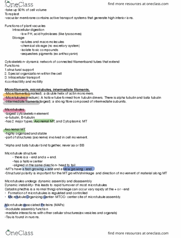 BIOL 1090 Lecture Notes - Lecture 21: Microtubule Organizing Center, Axoneme, Tau Protein thumbnail