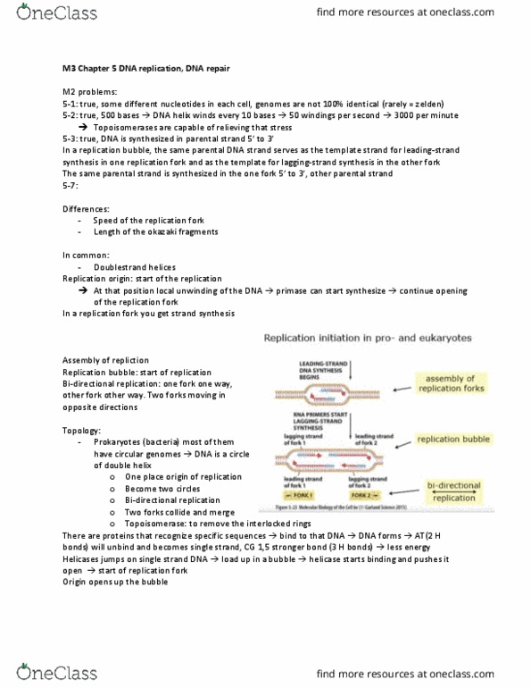 Biology 1002B Chapter Notes - Chapter 5: Okazaki Fragments, Helicase, Primase thumbnail