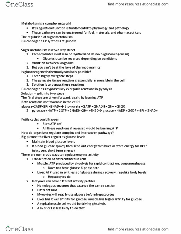 ESPM 165 Lecture Notes - Blood Sugar, Gluconeogenesis, Hepatocyte thumbnail