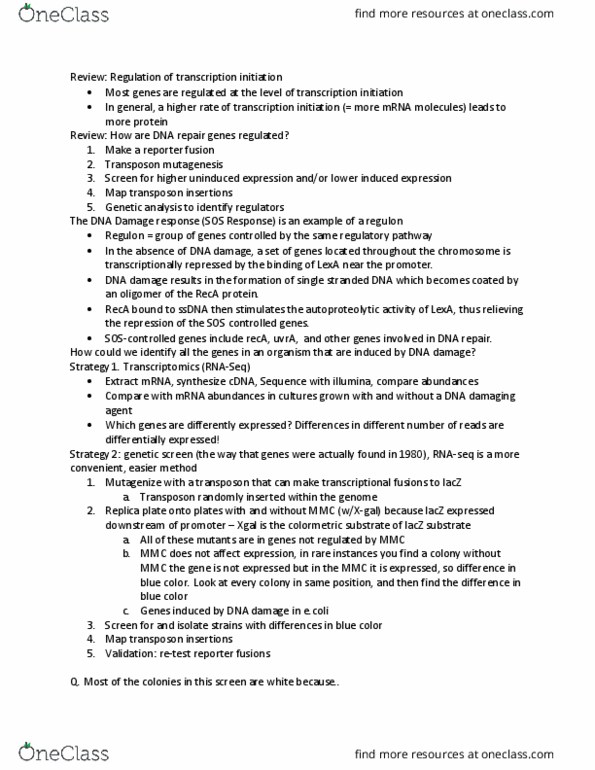 MCELLBI C148 Lecture Notes - Lecture 13: Regulon, Rna-Seq, Repressor Lexa thumbnail