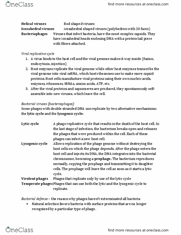 Biology 2581B Chapter Notes - Chapter 11: Lytic Cycle, Prophage, Polyhedron thumbnail