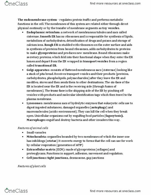 Biology 2581B Chapter Notes - Chapter 5: Pita, Tight Junction, Golgi Apparatus thumbnail