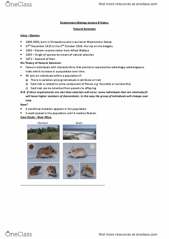 Biology 3593B Lecture Notes - Lecture 8: Advantageous, Stabilizing Selection, Hitchhiking thumbnail