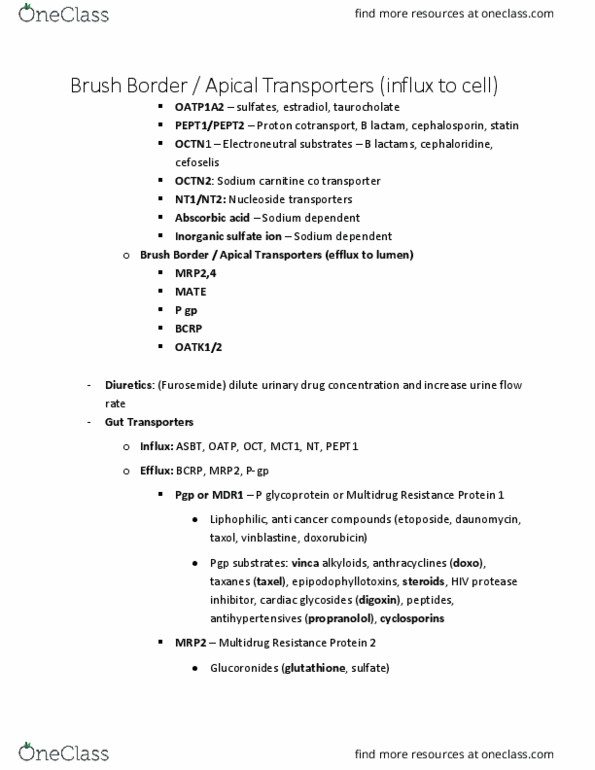 PHIL 2130 Lecture Notes - Lecture 11: Cardiac Glycoside, Daunorubicin, Anthracycline thumbnail