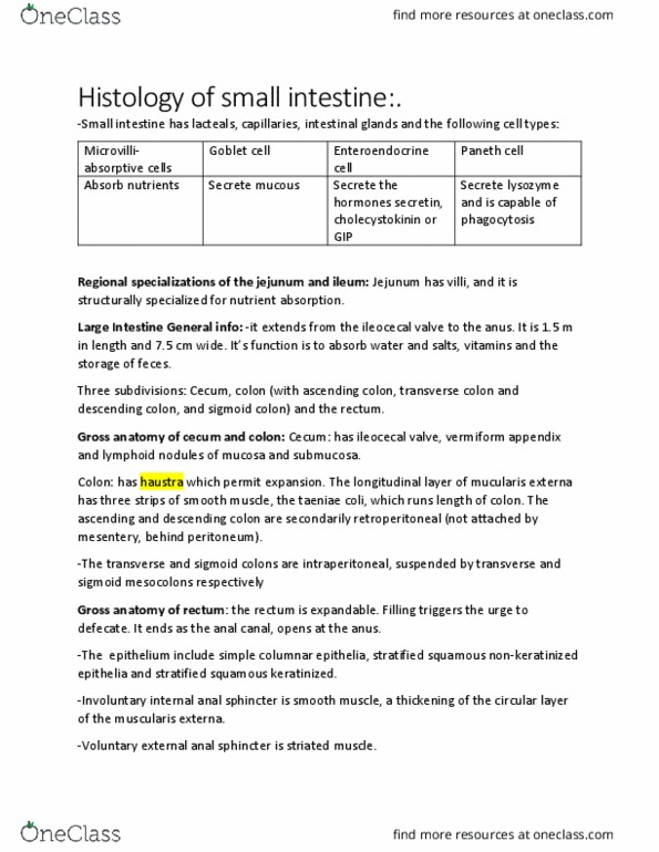 PHIL 2130 Chapter Notes - Chapter 2.0: Internal Anal Sphincter, External Anal Sphincter, Simple Columnar Epithelium thumbnail