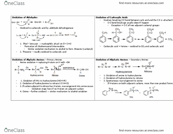 PHIL 2130 Chapter Notes - Chapter 2.9: Aldehyde Dehydrogenase, Oxime, Hydroxylamine thumbnail
