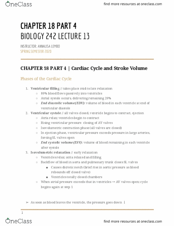 BIOL-242 Lecture Notes - Lecture 13: Heart Valve, Pulmonary Artery, Stroke Volume thumbnail