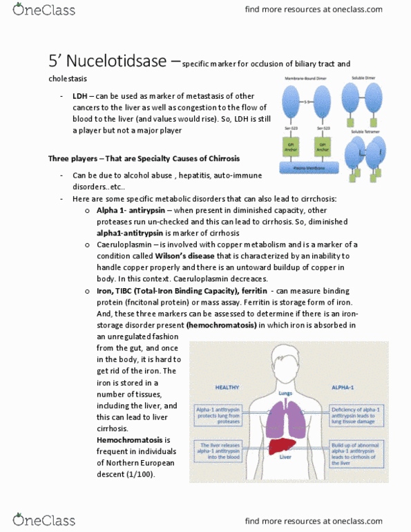 BIOL 2020 Lecture Notes - Lecture 23: Cirrhosis, Biliary Tract, Hepatitis thumbnail