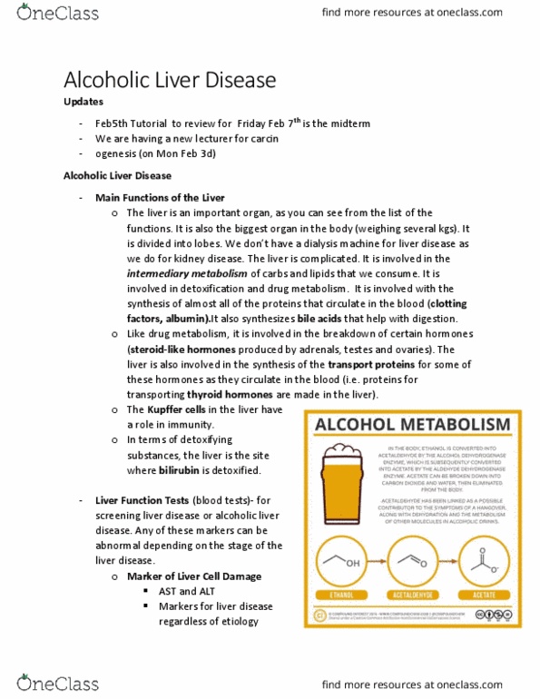 BIOL 2020 Lecture Notes - Lecture 21: Alcoholic Liver Disease, Kupffer Cell, Dialysis thumbnail