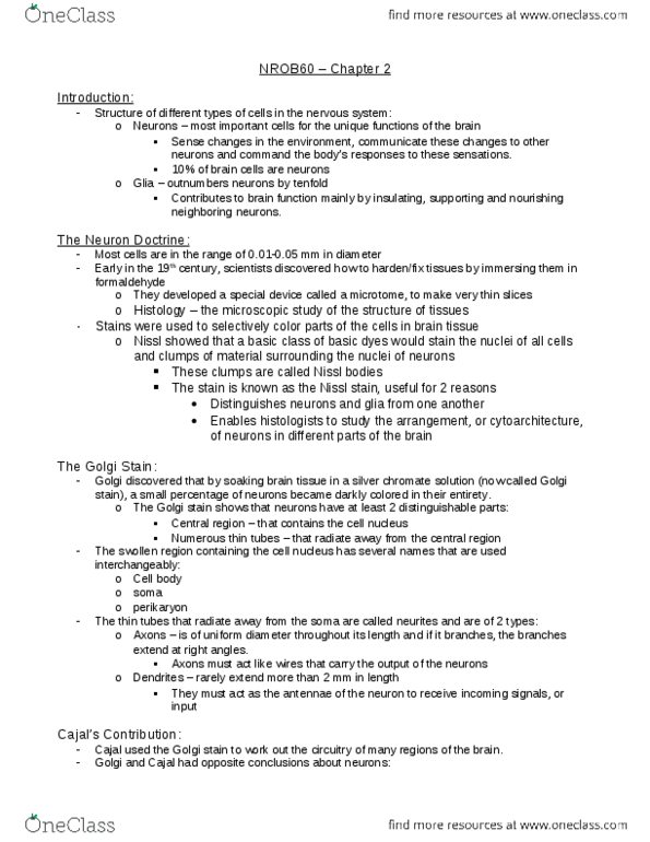 HMB200H1 Chapter Notes - Chapter 2: Axon Hillock, 10 Nanometer, Cerebral Cortex thumbnail