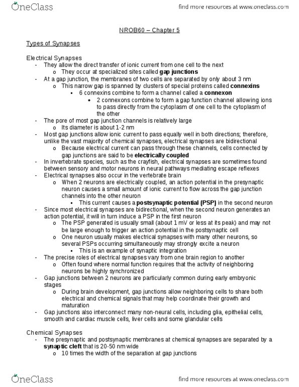 HMB200H1 Chapter Notes - Chapter 5: Internal Resistance, Autoreceptor, Potassium Channel thumbnail