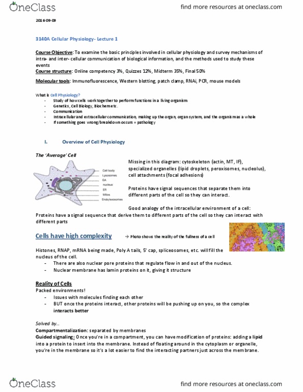 Physiology 3140A Lecture Notes - Lecture 1: Patch Clamp, Nuclear Pore, Western Blot thumbnail