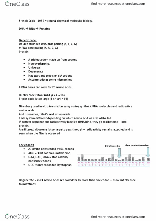 Biochemistry 2280A Lecture Notes - Lecture 8: Francis Crick, Start Codon, Central Dogma Of Molecular Biology thumbnail