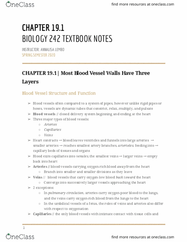 BIOL-242 Chapter Notes - Chapter 19: Blood Vessel, Pulmonary Circulation, Capillary thumbnail