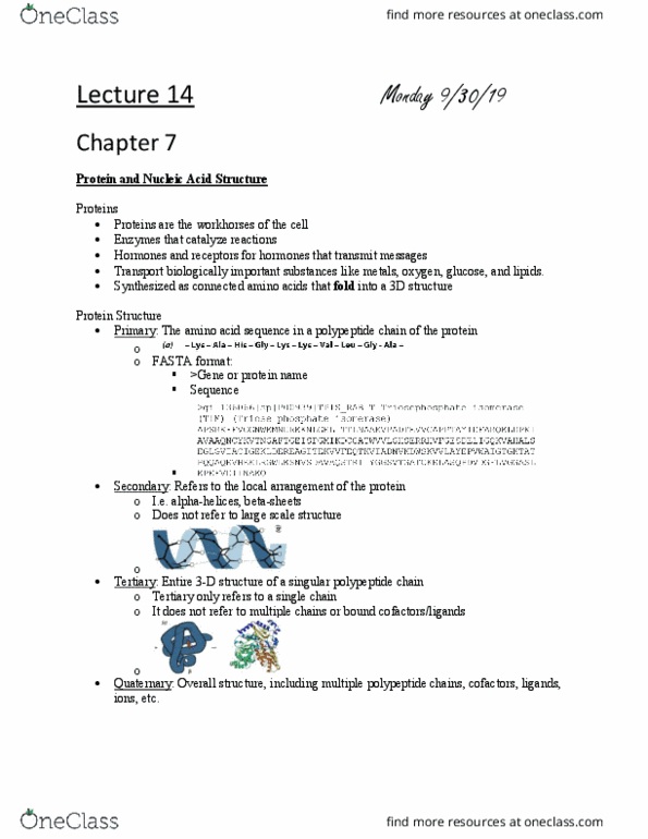 L41 BIOL 4810 Lecture Notes - Lecture 14: Fasta Format, Protein Sequencing, Peptide thumbnail