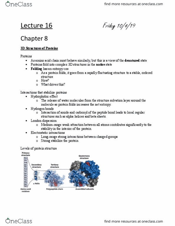 L41 BIOL 4810 Lecture Notes - Lecture 16: Protein Folding, Beta Sheet, Protein Structure thumbnail