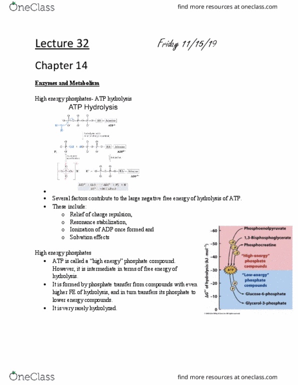 L41 BIOL 4810 Lecture Notes - Lecture 32: Atp Hydrolysis, Solvation, Hydrolysis thumbnail