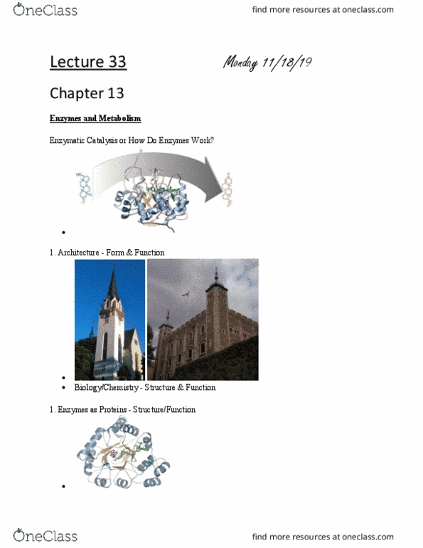 L41 BIOL 4810 Lecture Notes - Lecture 33: Electrophile, Lyase, Thiol thumbnail