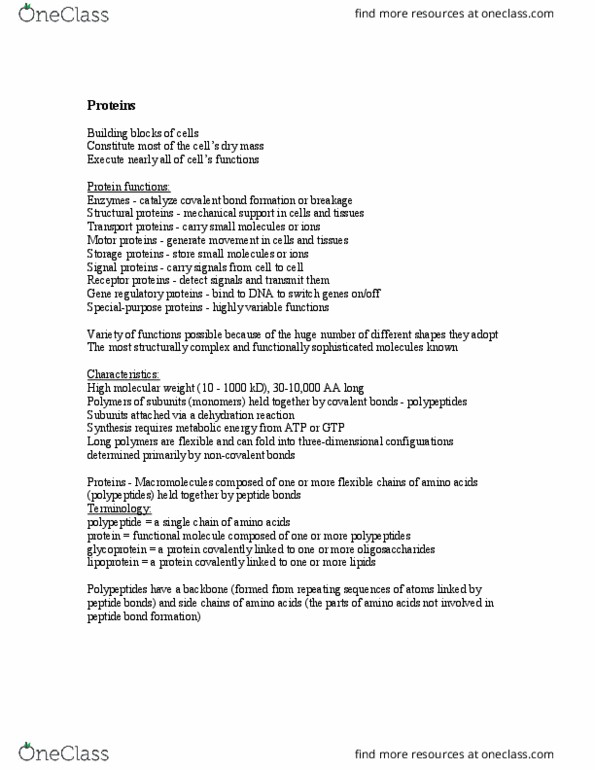 BIOL 3113 Lecture Notes - Lecture 5: Covalent Bond, Dehydration Reaction, Motor Protein thumbnail