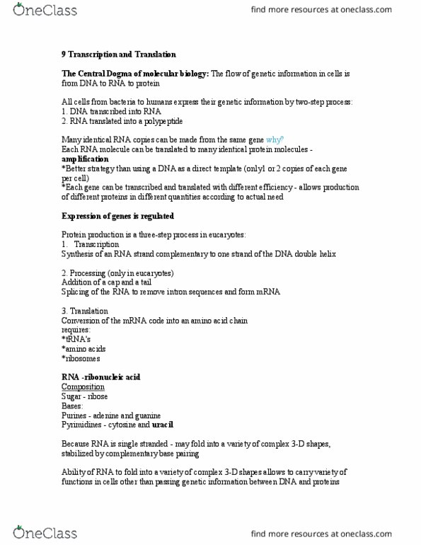 BIOL 3113 Lecture Notes - Lecture 9: Ribosomal Rna, Eukaryote, Protein Production thumbnail