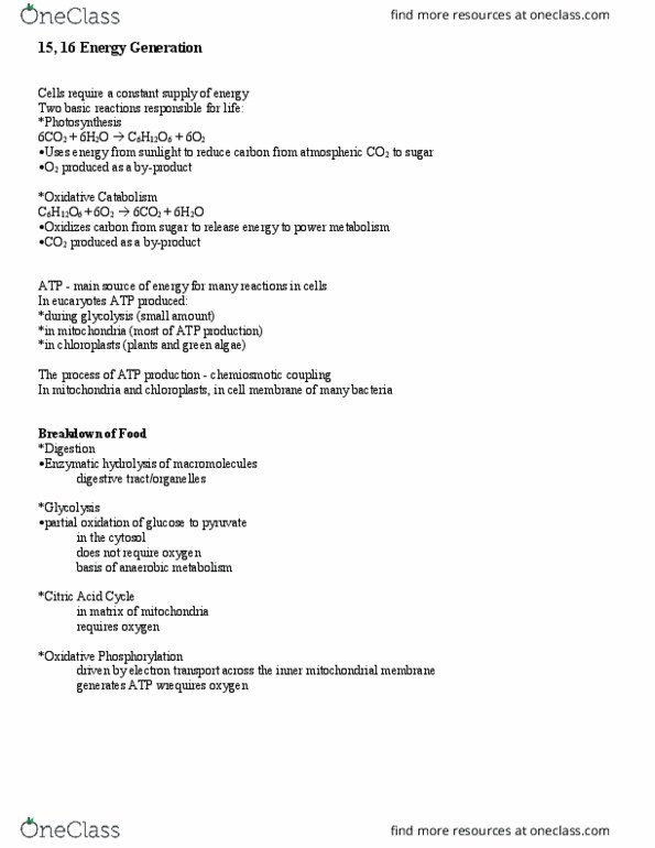 BIOL 3113 Lecture Notes - Lecture 16: Citric Acid Cycle, Oxidative Phosphorylation, Partial Oxidation thumbnail