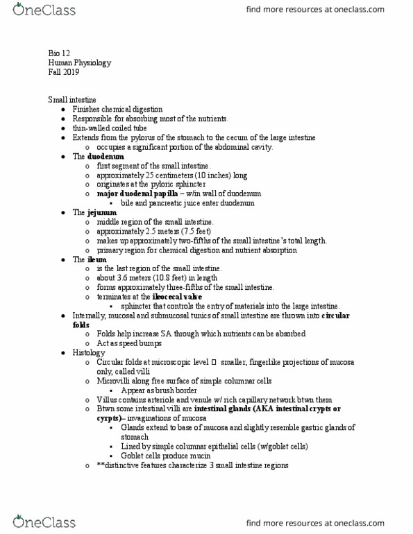 BIO 12D Lecture Notes - Lecture 11: Major Duodenal Papilla, Pylorus, Intestinal Villus thumbnail