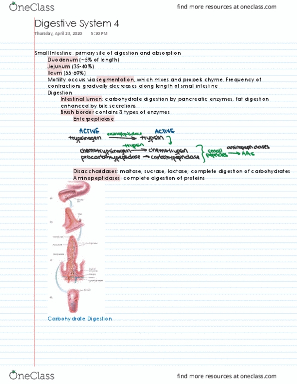 document preview image