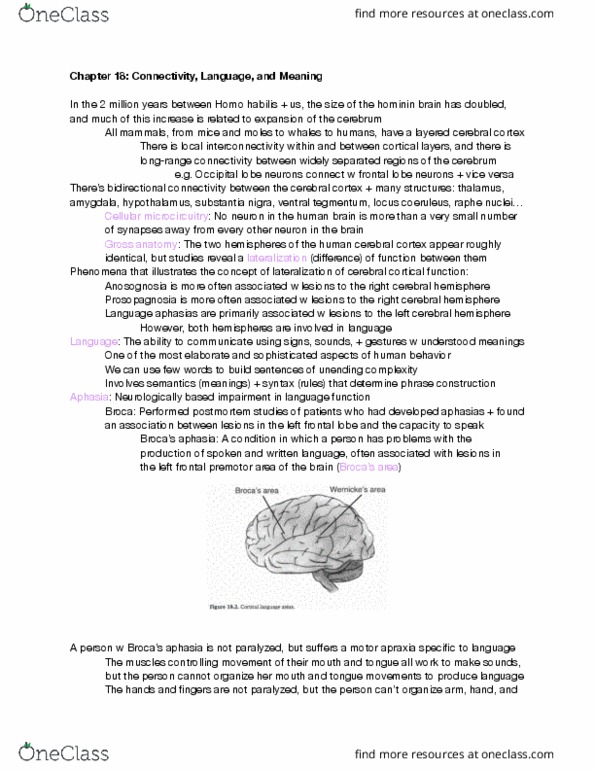 MCELLBI C61 Chapter Notes - Chapter 18: Substantia Nigra, Locus Coeruleus, Ventral Tegmental Area thumbnail