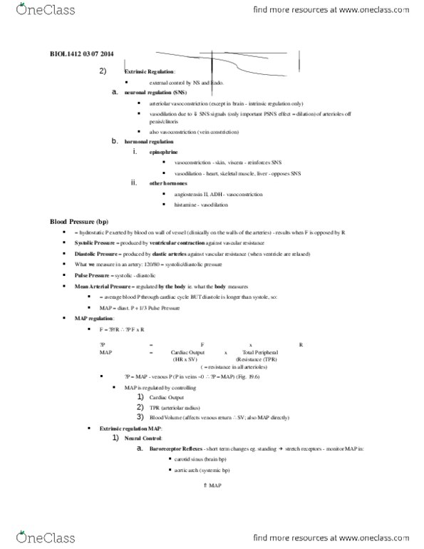 BIOL 1412 Lecture Notes - Aldosterone, Vasoconstriction thumbnail