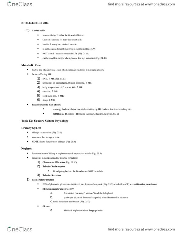 BIOL 1412 Lecture Notes - Podocyte, Gastrin, Nephron thumbnail