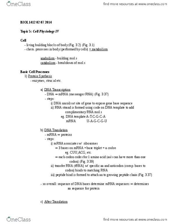 BIOL 1412 Lecture Notes - Covalent Bond, Glycogen, Adenine thumbnail