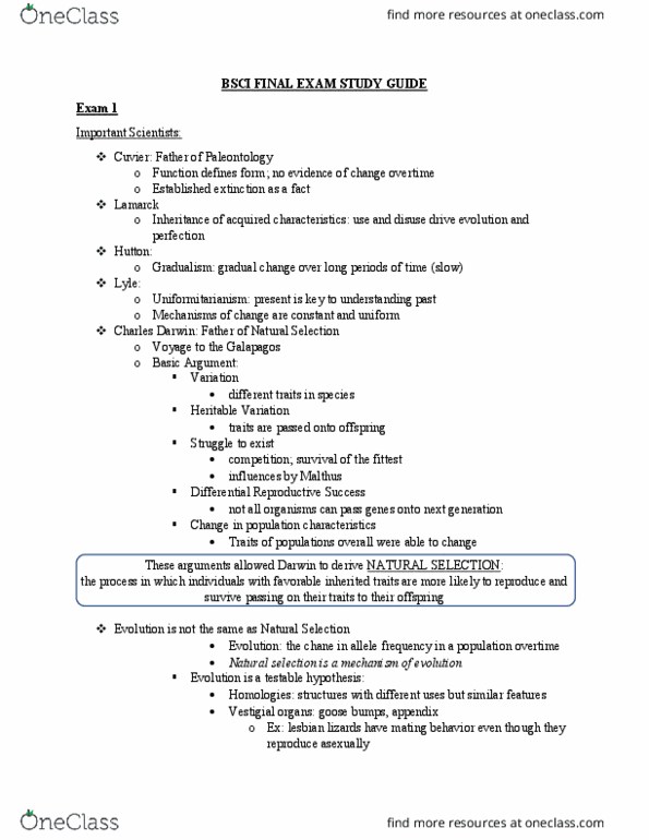 Exam 010-160 Flashcards