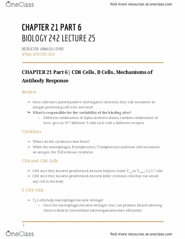 BIOL-242 Lecture Notes - Lecture 25: Antigen-Presenting Cell, Mast Cell, T Cell thumbnail