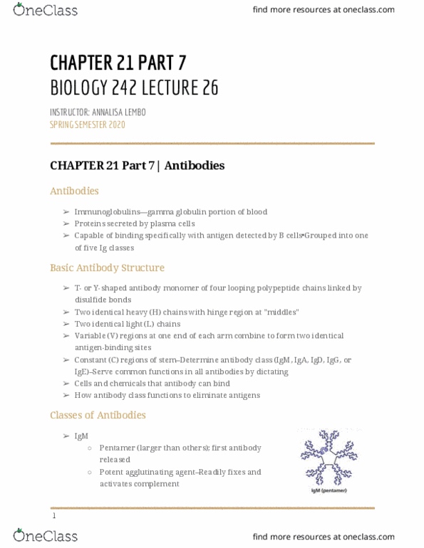 BIOL-242 Lecture Notes - Lecture 26: Immunoglobulin M, Immunoglobulin D, Antibody thumbnail